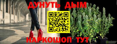 крисы Гай