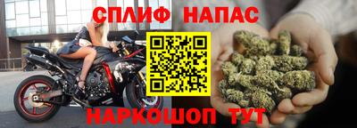 ALPHA PVP Гатчина