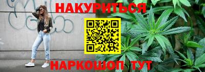 крисы Гай