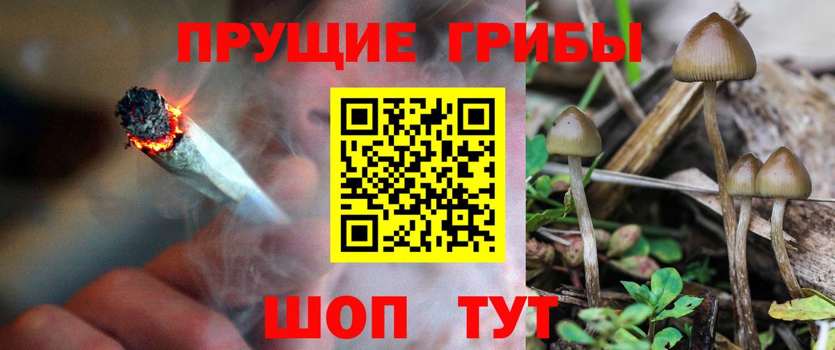 Галлюциногенные грибы Magic Shrooms  закладка  Псилоцибиновые грибы GOLDEN TEACHER  Когалым  Вход с VPN 